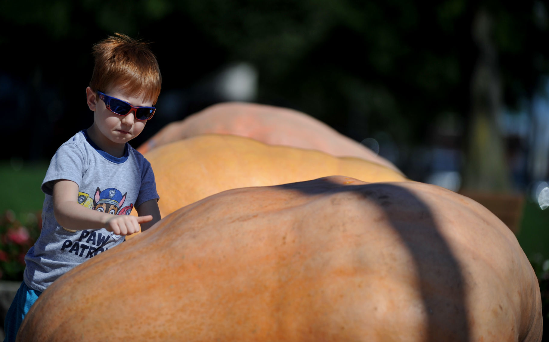 FALL FESTIVAL